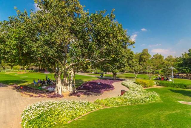 معابر پارک خور