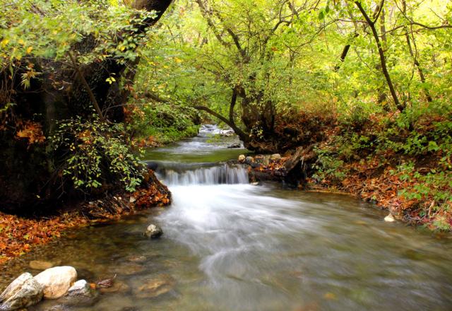 رود خروشان گیان در استان همدان