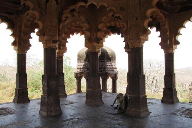 معماری تاریخی هند در قلعه رانتامبور