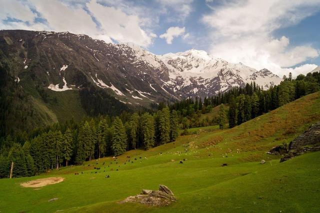 پارک ملی بزرگ هیمالیا