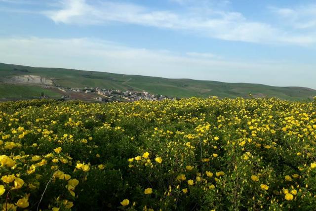 بهار در روستای آتش بیگ