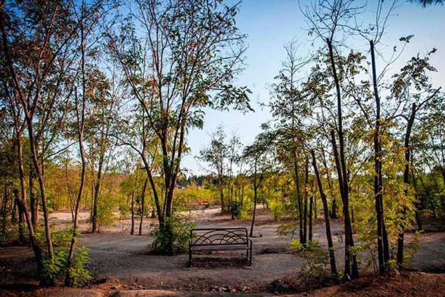 نیکمت‌های پارک چیتگر