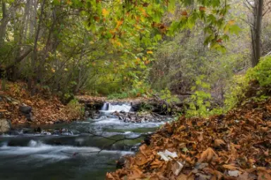 پاییز در جاغرق طرقبه