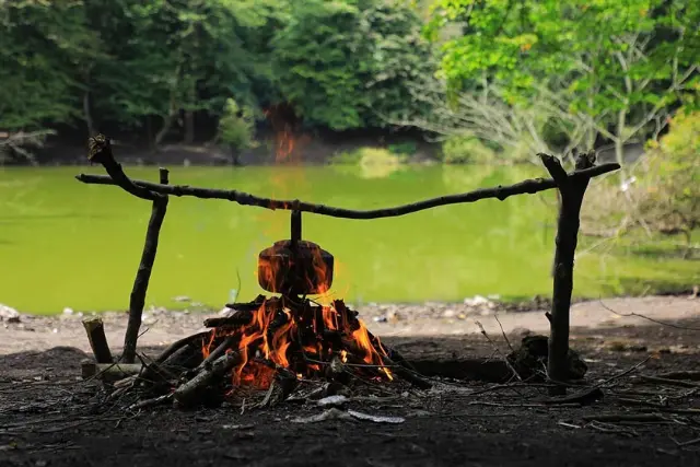 چای آتشی در کنار مرداب هسل