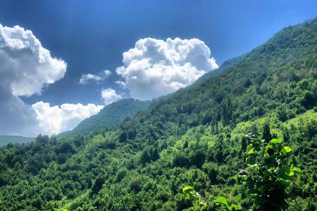 طبیعت بکر روستای جنت رودبار