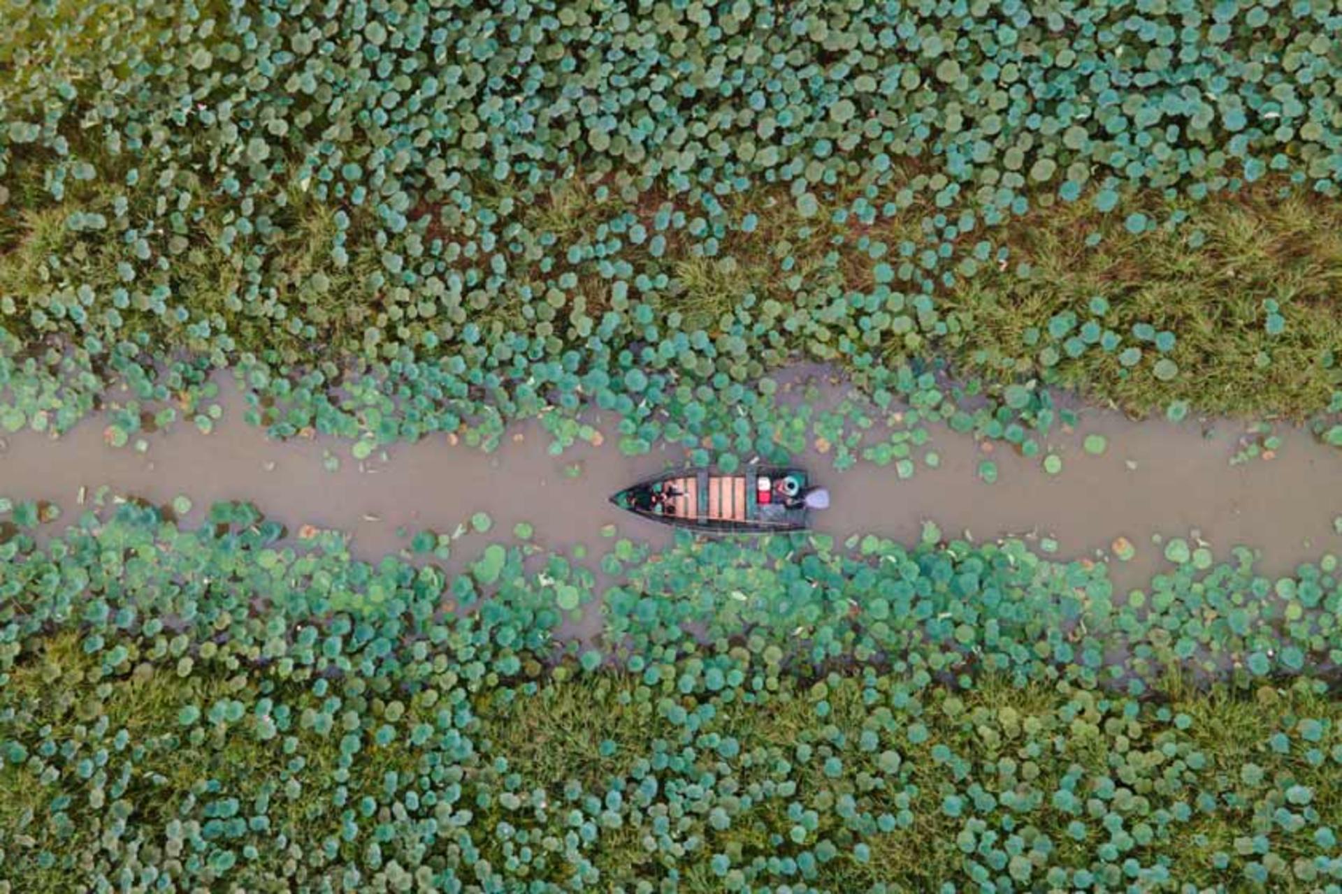 آتش تالاب انزلی بالاخره خاموش شد