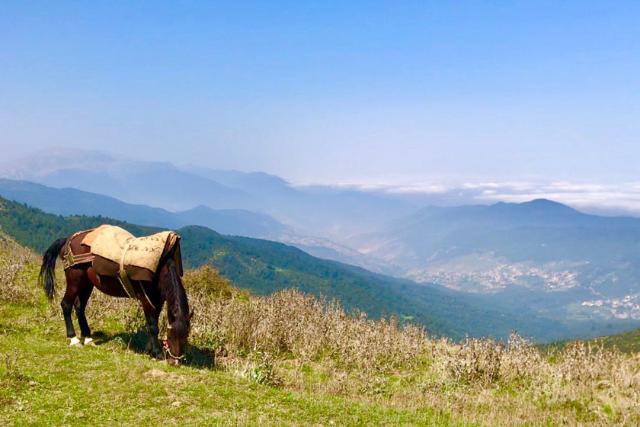 اقیانوس ابرها در روستای فیلبند