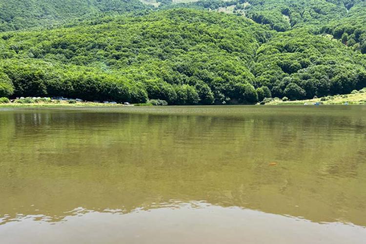 بازتاب درختان بر دریاچه ویستان