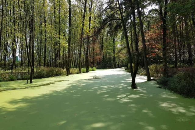 دریاچه سراوان