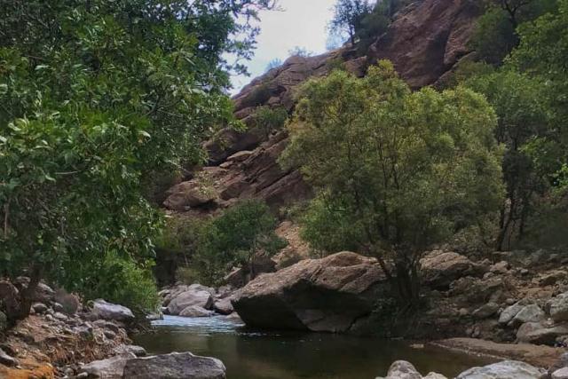 طبیعت‌گردی در دره نی گاه