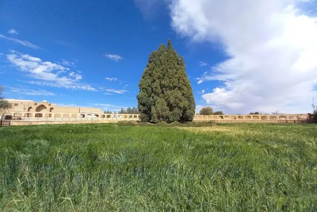 چشم‌اندازی از سرو ابرکوه