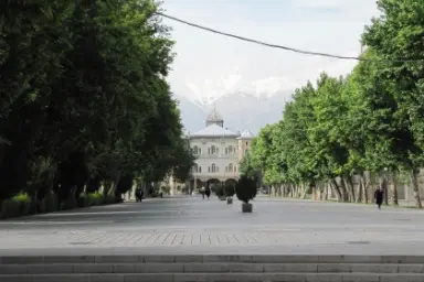 ردیف درختان در میدان مشق