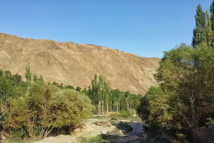 درختان سبز روستای سیرچ