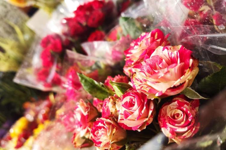 دسته‌های گل رز در بازار گل محلاتی