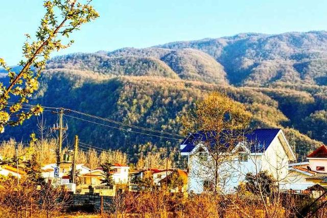 تصویری پاییزه از روستای چلندر؛ منبع عکس: گوگل مپ؛ عکاس: ali sedghi