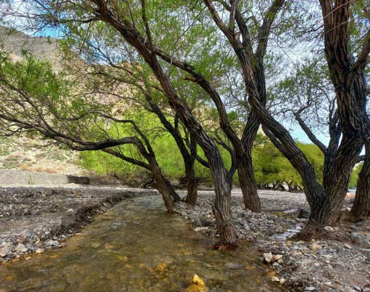 طبیعت زیبای پارک ملی سالوک؛ منبع عکس: گوگل مپ؛ عکاس: مصطفی رضایی جوشقان