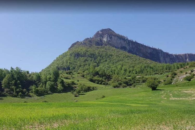 پوشش گیاهی و طبیعت زیبای باغ دره؛ منبع عکس: ساعد نیوز؛ عکاس: نامشخص