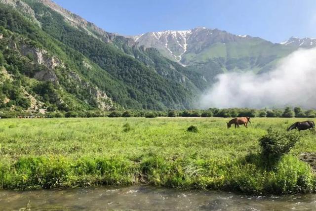 اسب‌ها در دشت دریاسر؛ عکس از خبرگزاری میزان (عکاس: نامشخص)