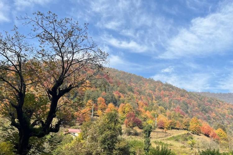 بلوردکان. منبع عکس: باشگاه خبرنگاران جوان. عکاس: نامشخص
