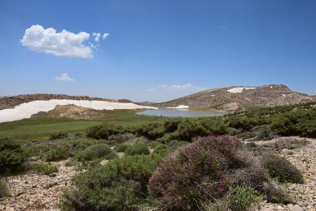 رویش گل‌ها در اطراف دریاچه برم فیروز در بهار؛ منبع عکس: گوگل مپ؛ عکاس: هادی کریمی