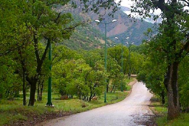 پارک جنگلی تشبندان منبع عکس: توریستگاه؛ عکاس: نامشخص