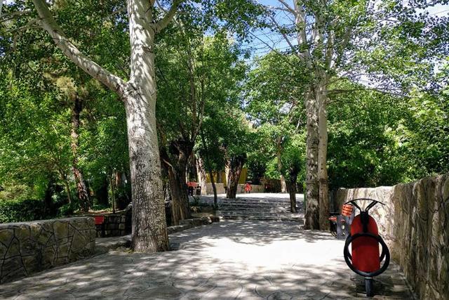 شهربازی و پارک کوهستان شهمیرزاد؛ منبع عکس: گوگل مپ؛ عکاس: Martin Perrin