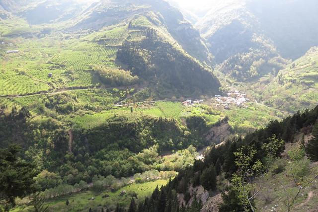 روستای سجیران؛ منبع عکس: گوگل مپ؛ عکاس: نیما فرود