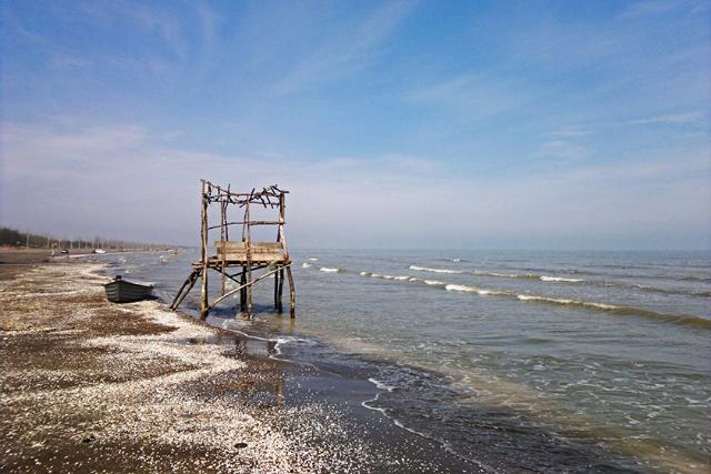 ساحل رامدشت؛ منبع عکس: گوگل مپ؛ عکاس: حامد محمدپور