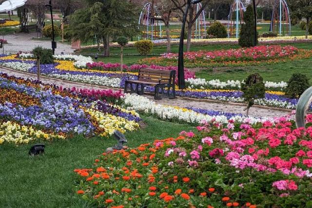 گل های زیبا و نیمکت در باغ گلهای مشهد؛ منبع عکس: گوگل مپ؛ عکاس: daniyal bam 