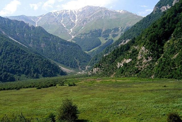 کوهستان مه گرفته در جنگل دیزمار، منبع عکس: خبرگزاری برنا، عکاس: نامشخص