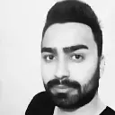 محمد مهدی حسنی
