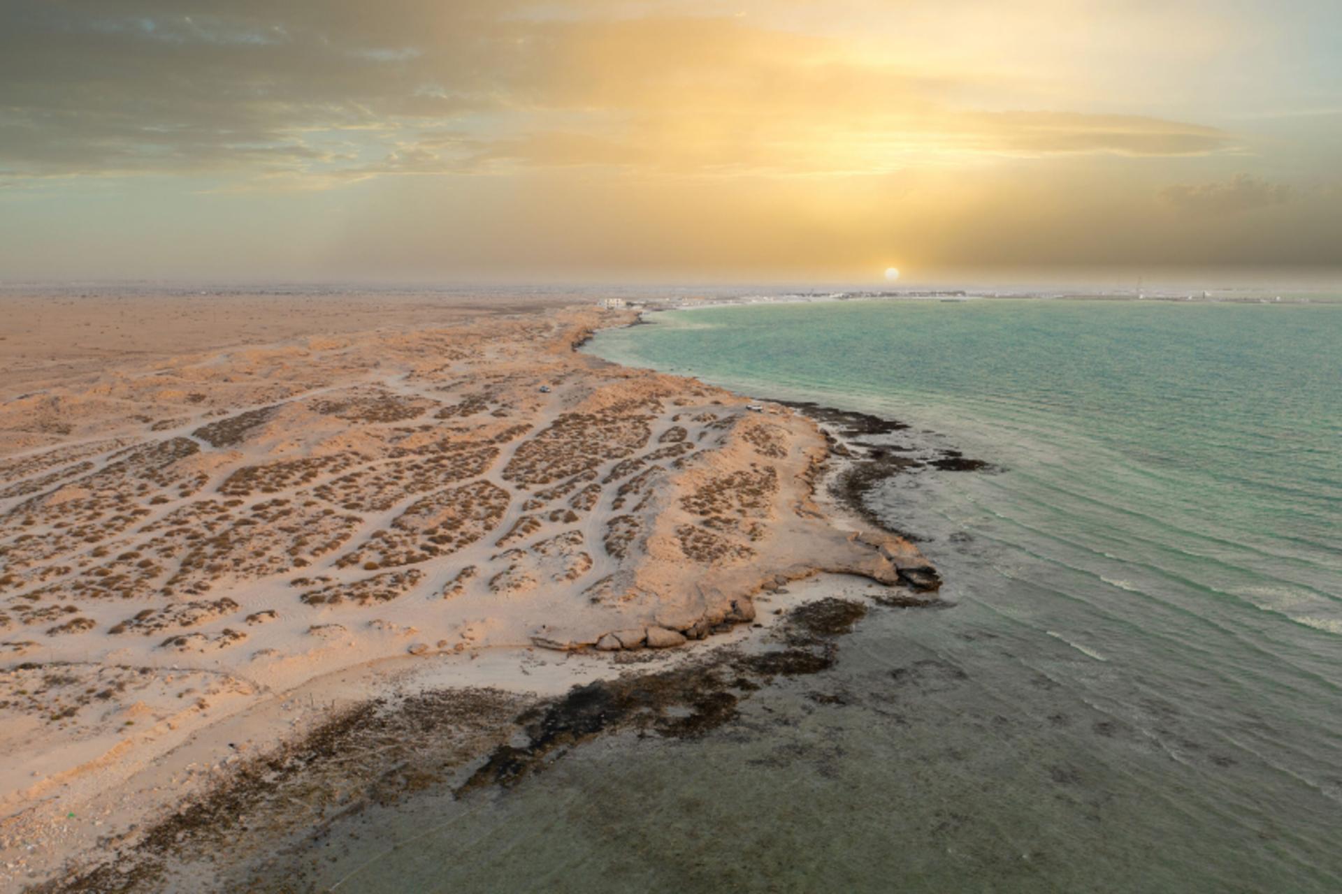 سواحل قطر