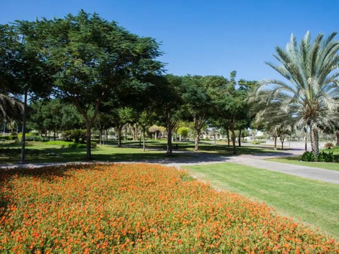 طبیعت پارک البرشا