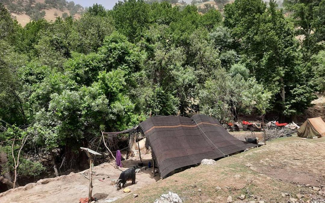 عشایر روستای لندی