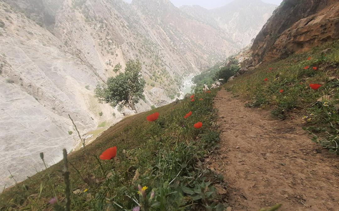 مسیر کوهستانی آبشار لندی