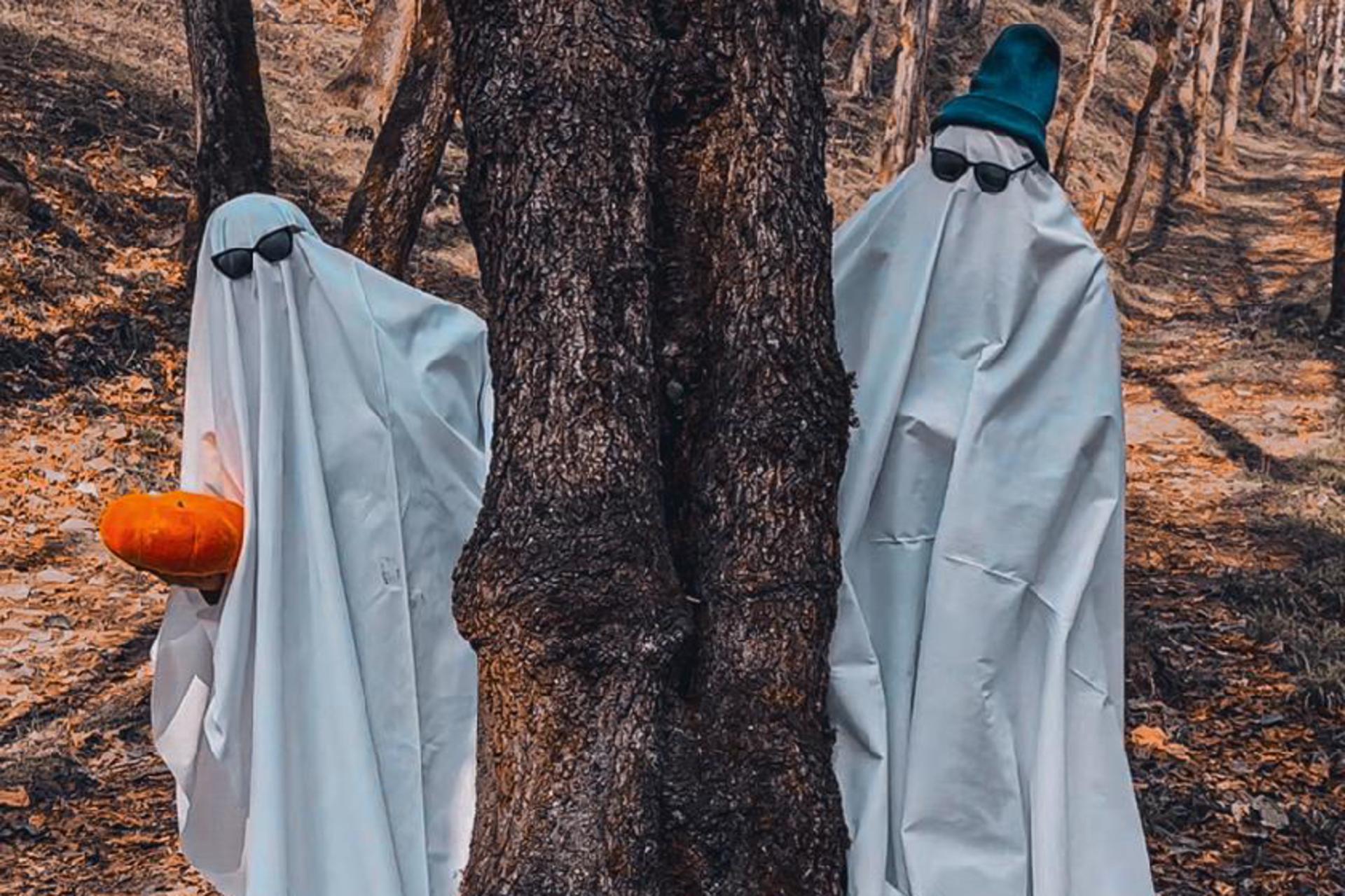 هالووین در جنگل