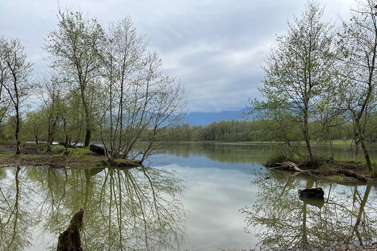 طبیعت پاییزی دریاچه جوربند