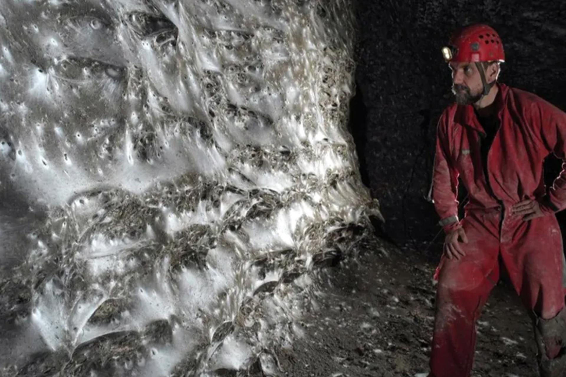 بزرگترین تار عنکبوت جهان