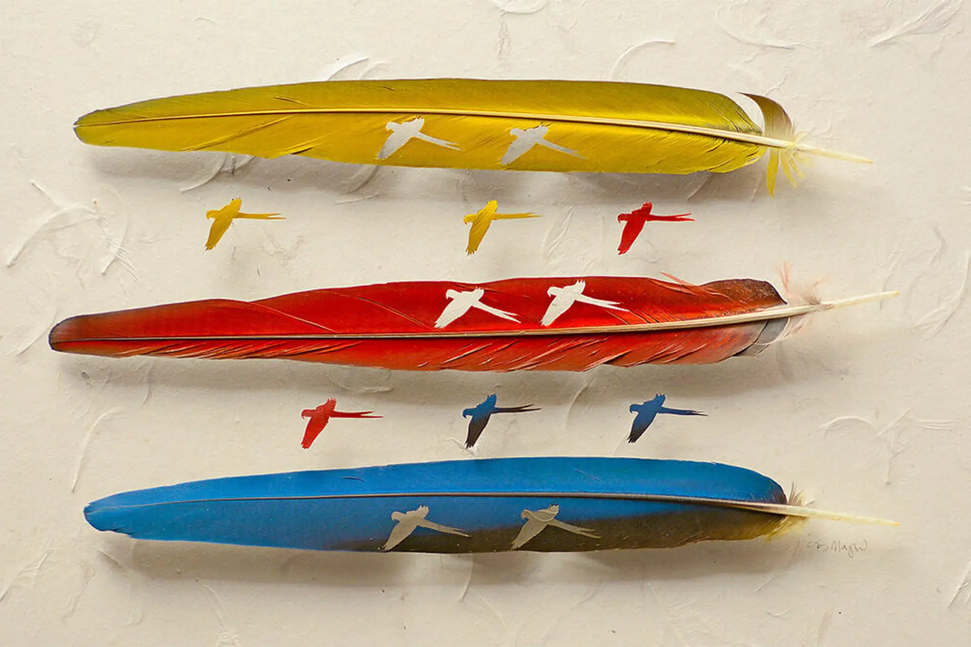 سه پر رنگ شده