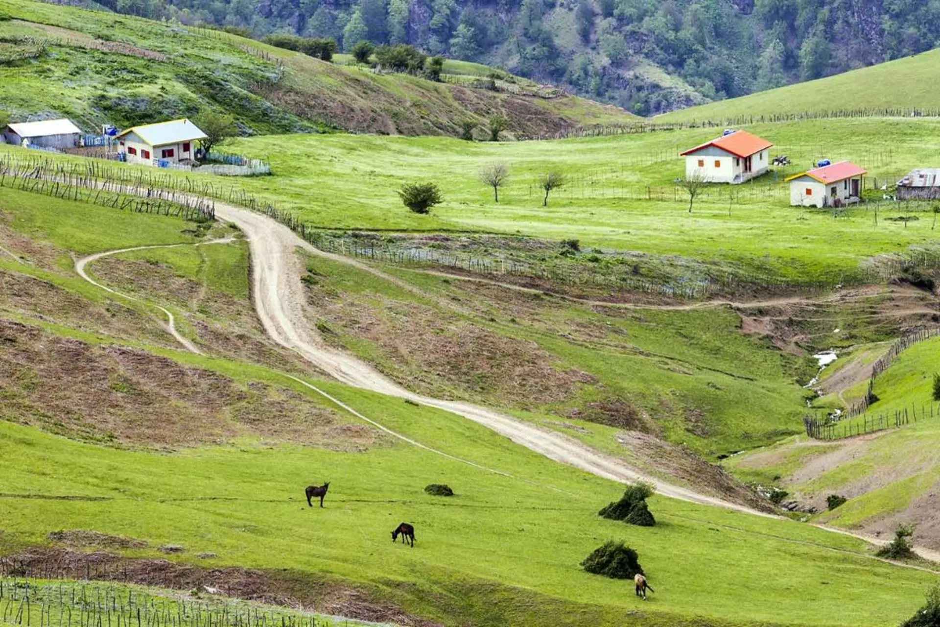 ییلاقات سوباتان در تالش