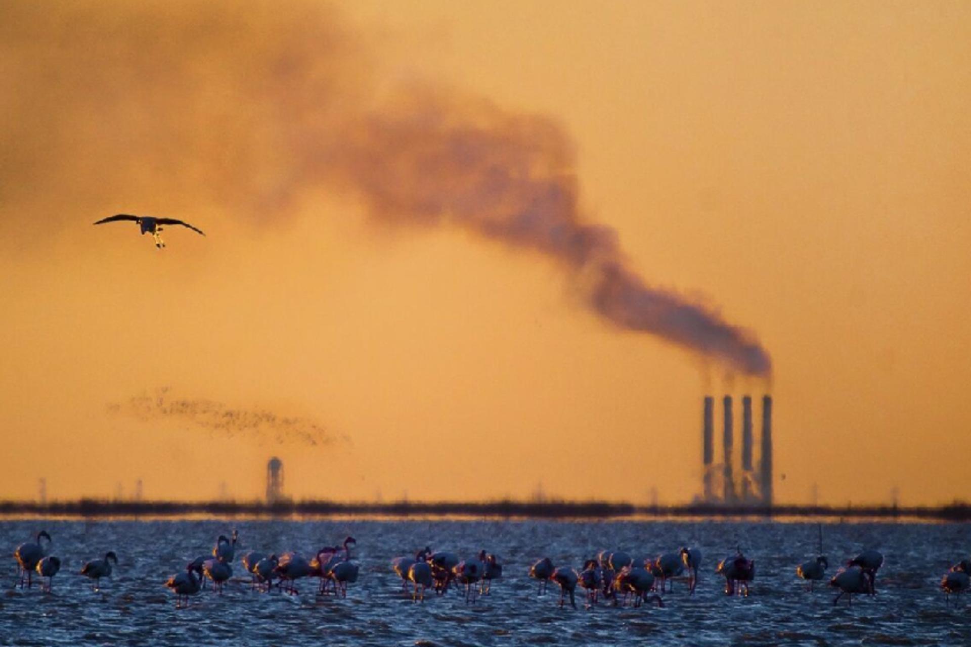 آلودگی هوا در شهرهای شمالی