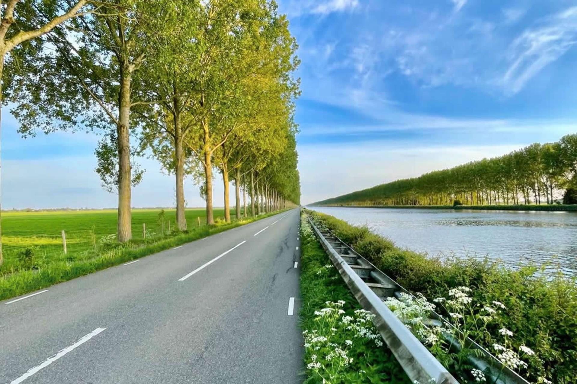 تصویر دوگانه از جاده و رودخانه