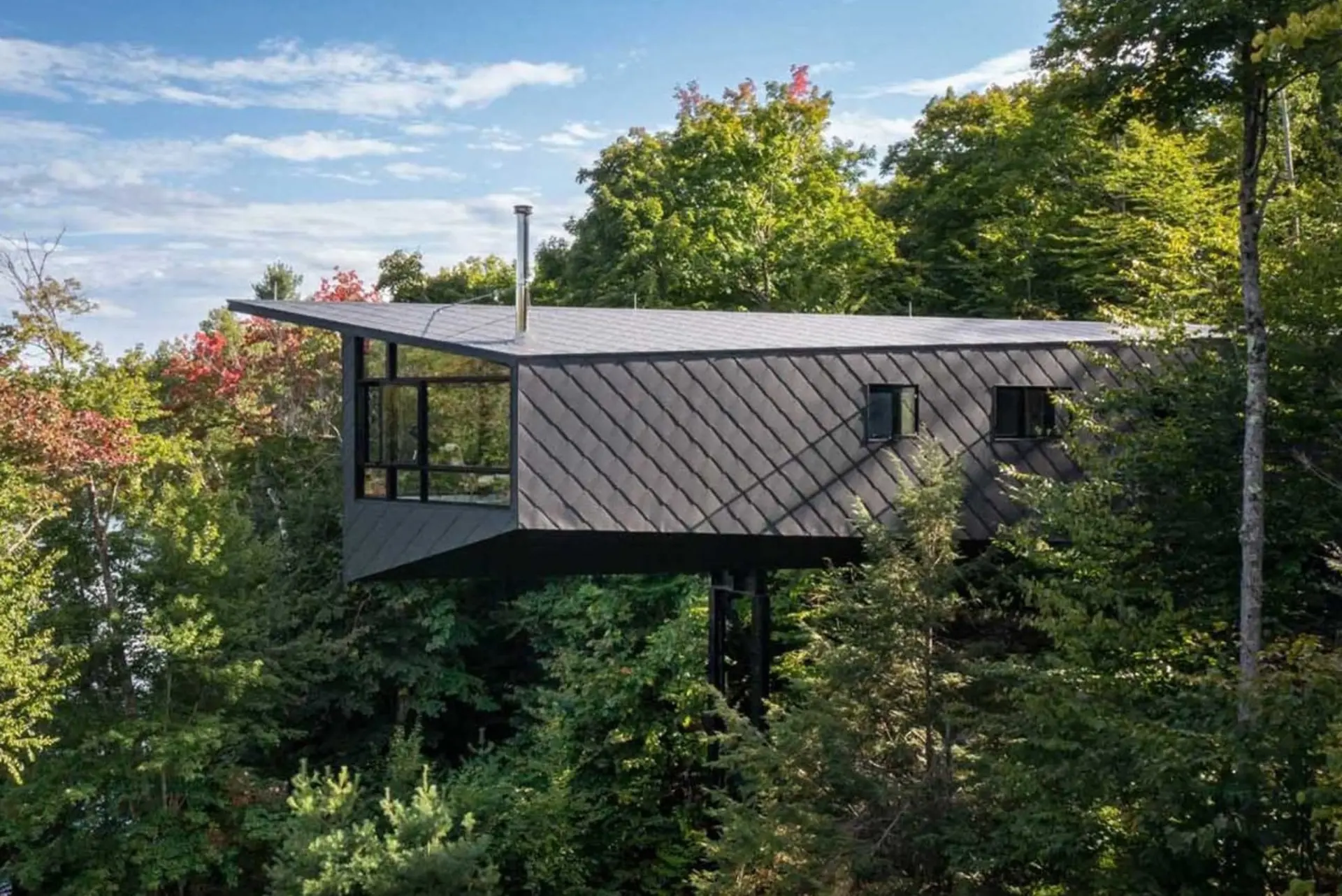 کلبه معلق مور در جنگل‌های کانادا