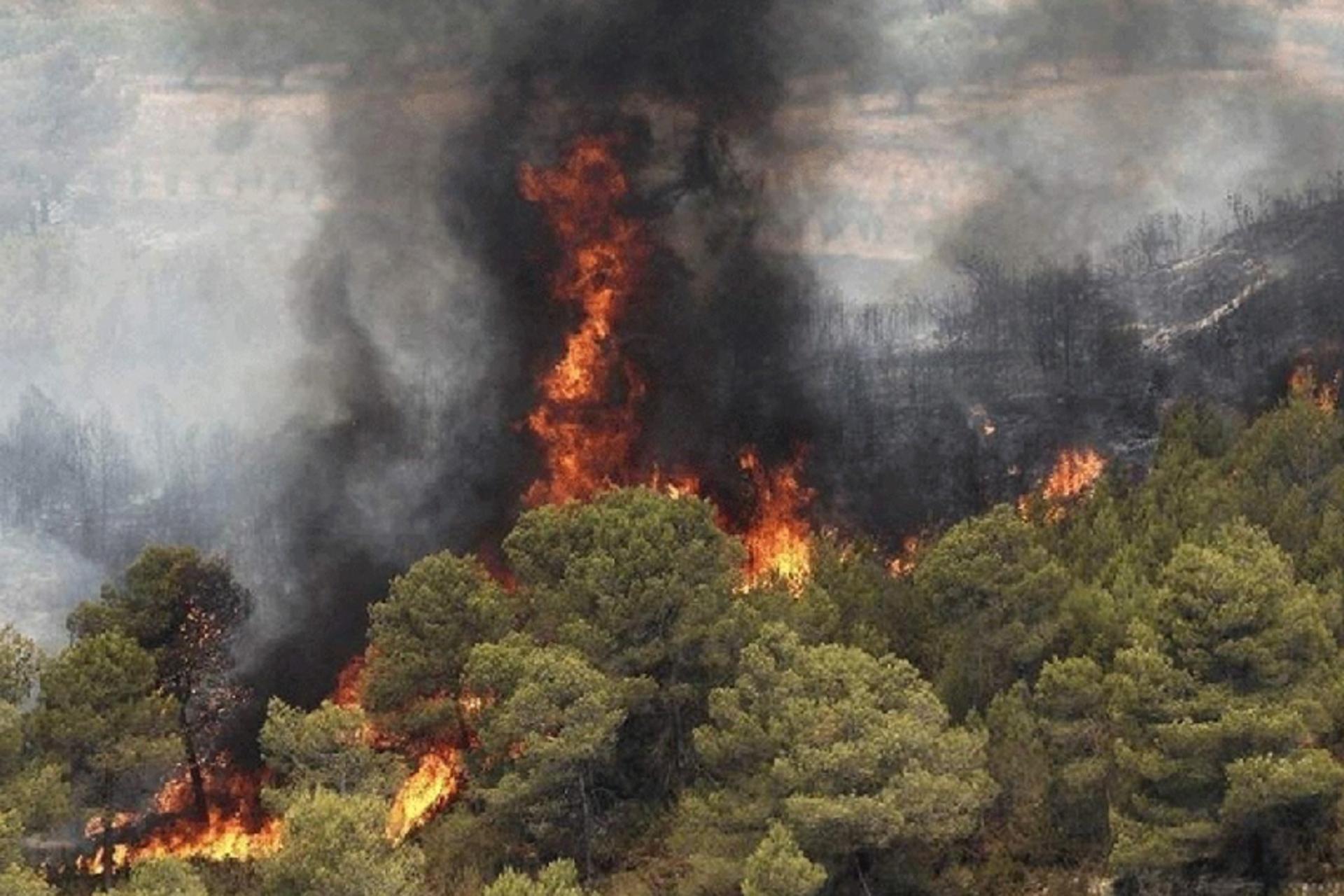 آخرین وضعیت اطفای حریق هیرکانی