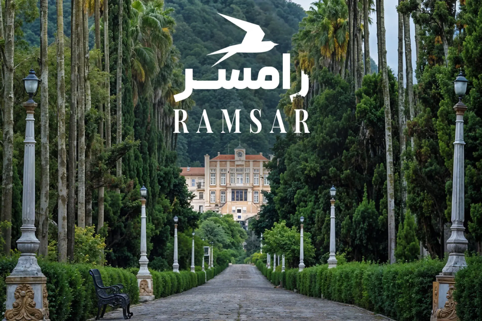 فضای سرسبز بلوار معلم رامسر 