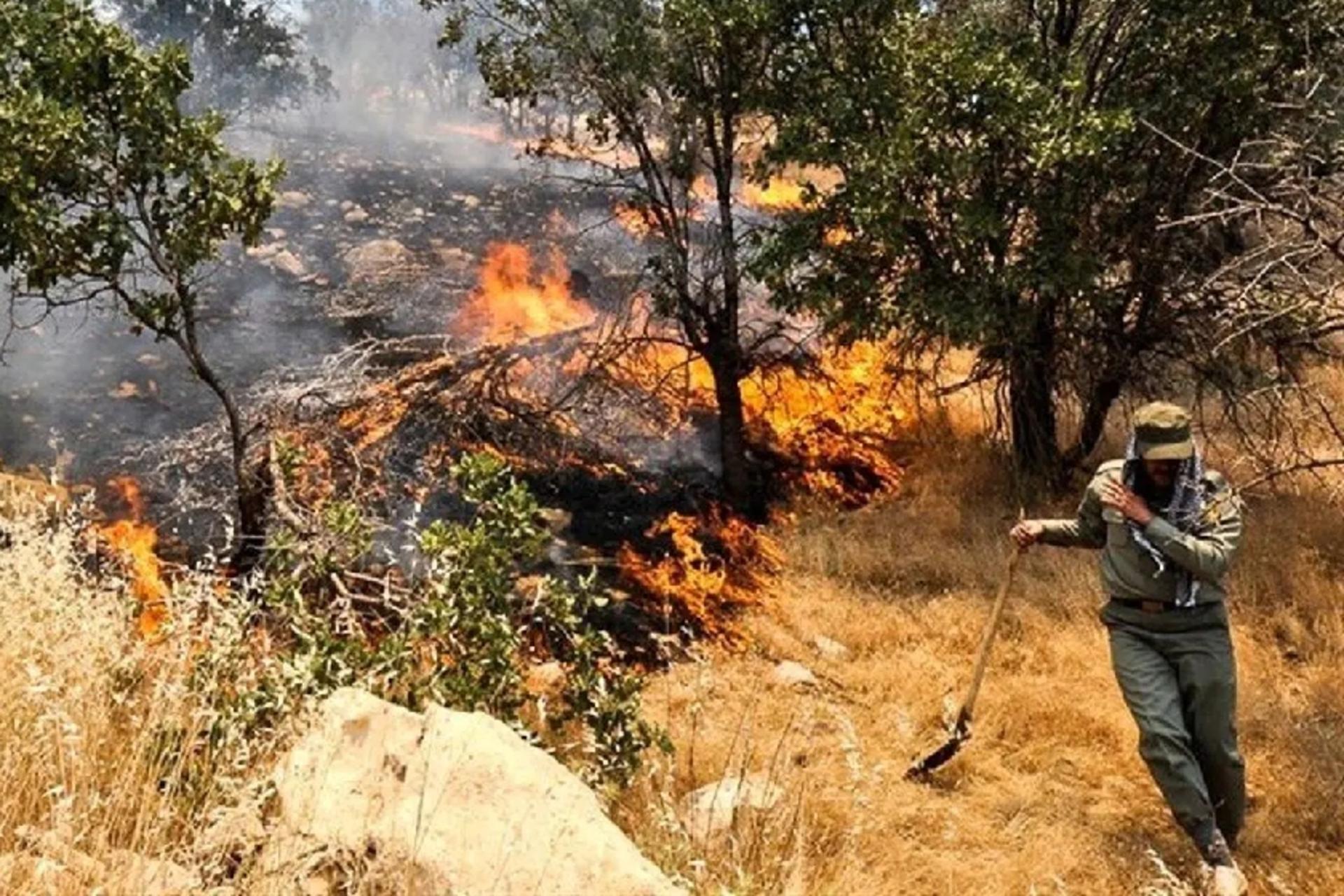 مسئولیت یونسکو در آتش سوزی هیرکانی