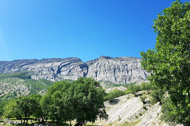 چشم انداز تنگه زرانگوش از نمای ارتفاعات مشرف به تنگه