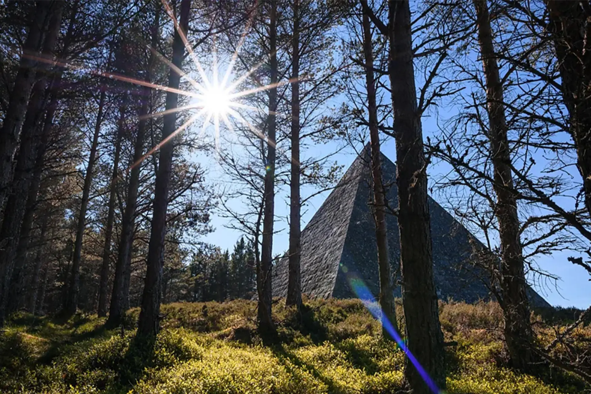 هرم شاهزاده آلبرت از میان درختان کاج با نور خورشید درخشان