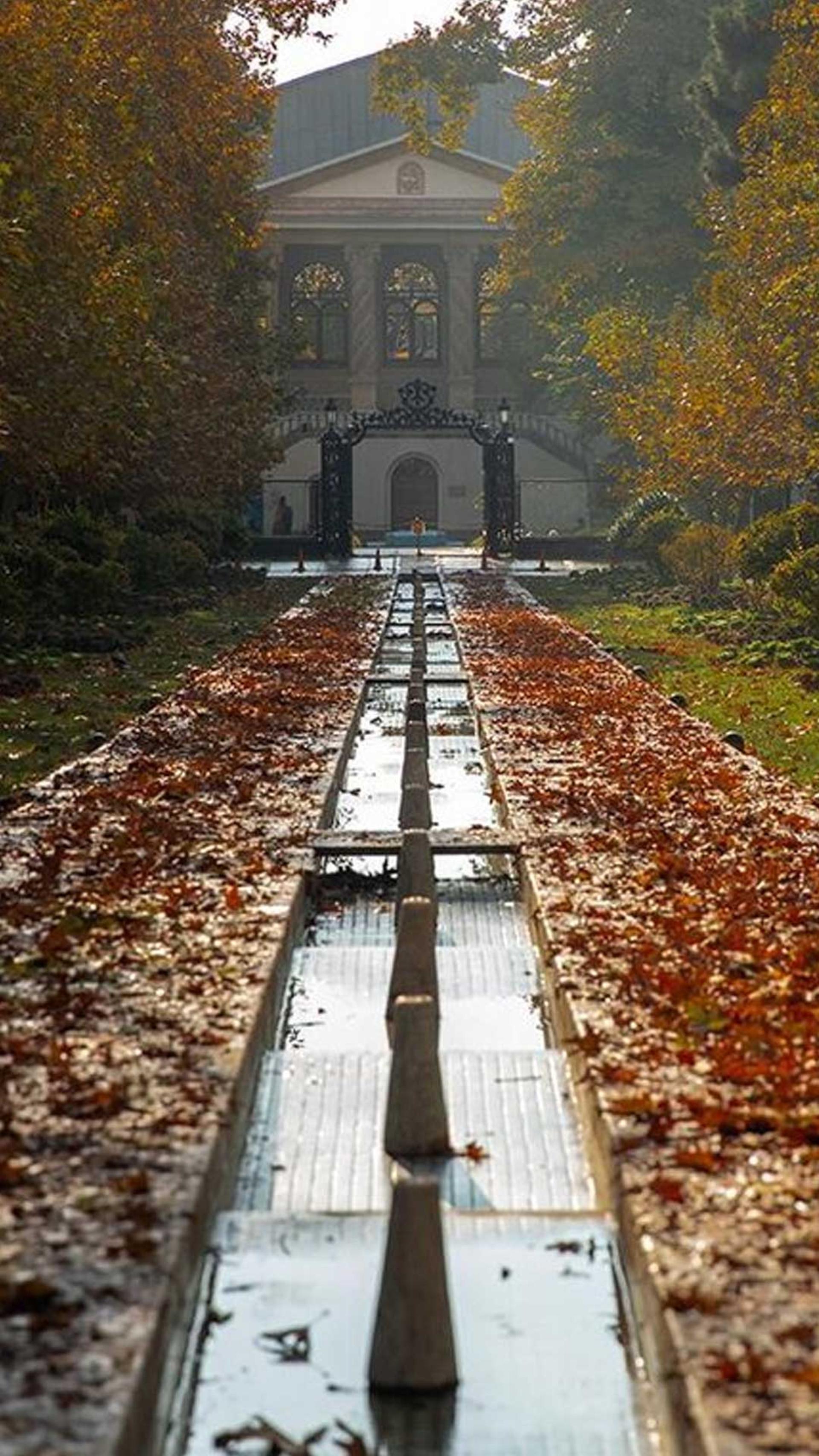 جادوی پیاده‌روی در خیابان ولیعصر