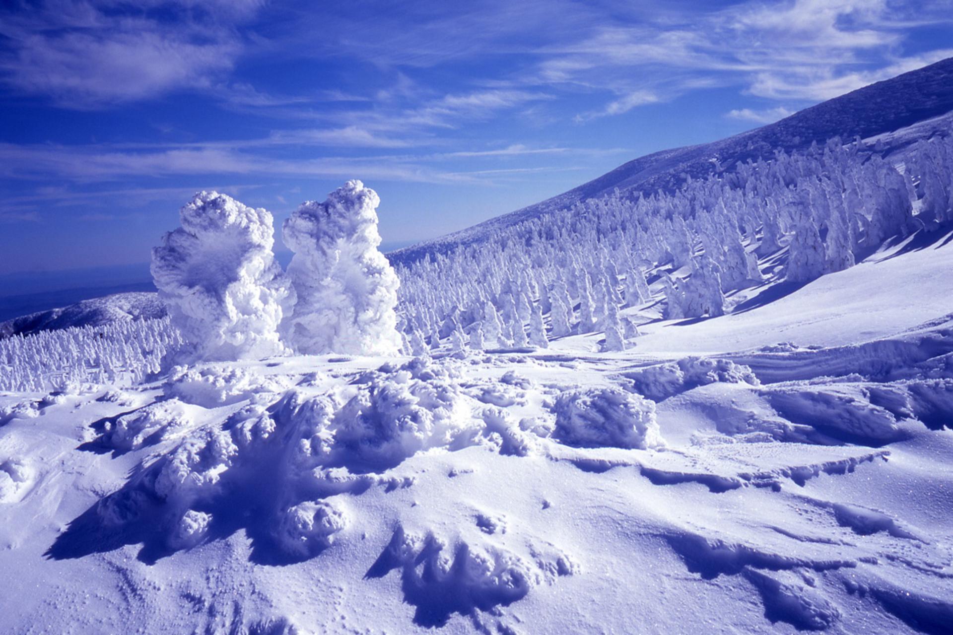 مرگ خاموش هیولاهای برفی؛ ستون‌های یخی که آب می‌شوند
